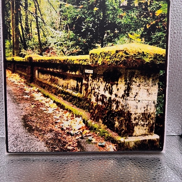 These canvas prints are so special! 8 x 8 and size great for gifting! - Picture 3 of 15